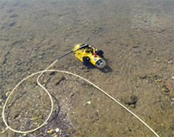 Guardian Mini-ROV