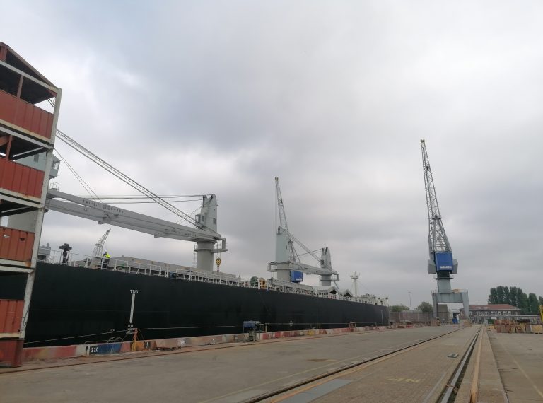 MSc in “Shipping” Educational Trip: Behind the Scenes at Damen Shiprepair Yard